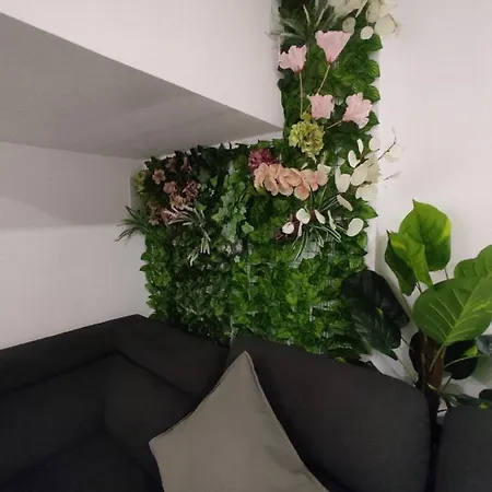 Apartment Apto Con Hidromasaje Sweet Charco By Flamingo House *